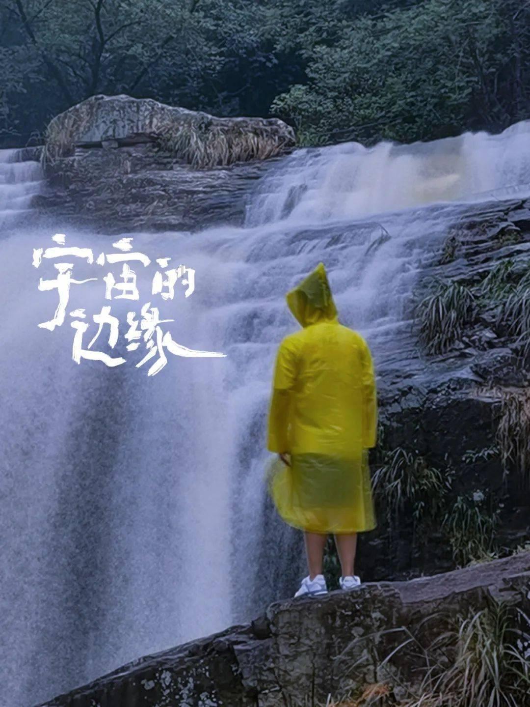 拯救受伤的猫